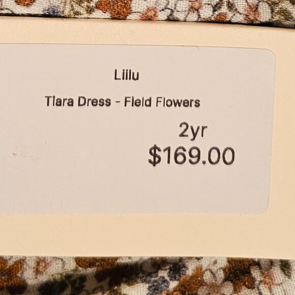 LIILU LITTLE GIRLS TIARA DRESS - FIELD FLOWERS - 2YR & 4YR - MSRP $169 - NWT - Picture 4 of 11